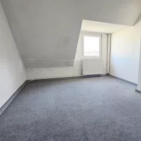 Zimmer DG