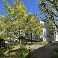 Blick in den grünen Innenhof