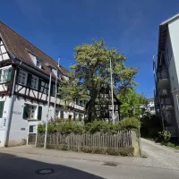 Direkte Nachbarschaft zum Leinfelder Haus